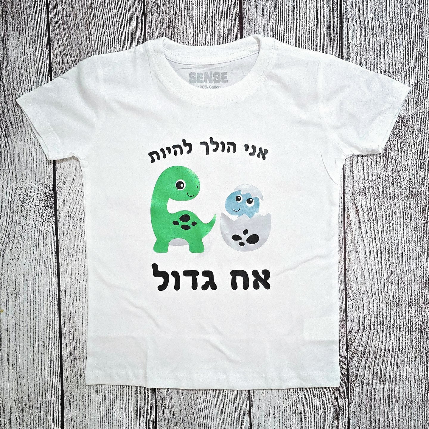 בגד לתינוק אח גדול דינוזאורים בעברית