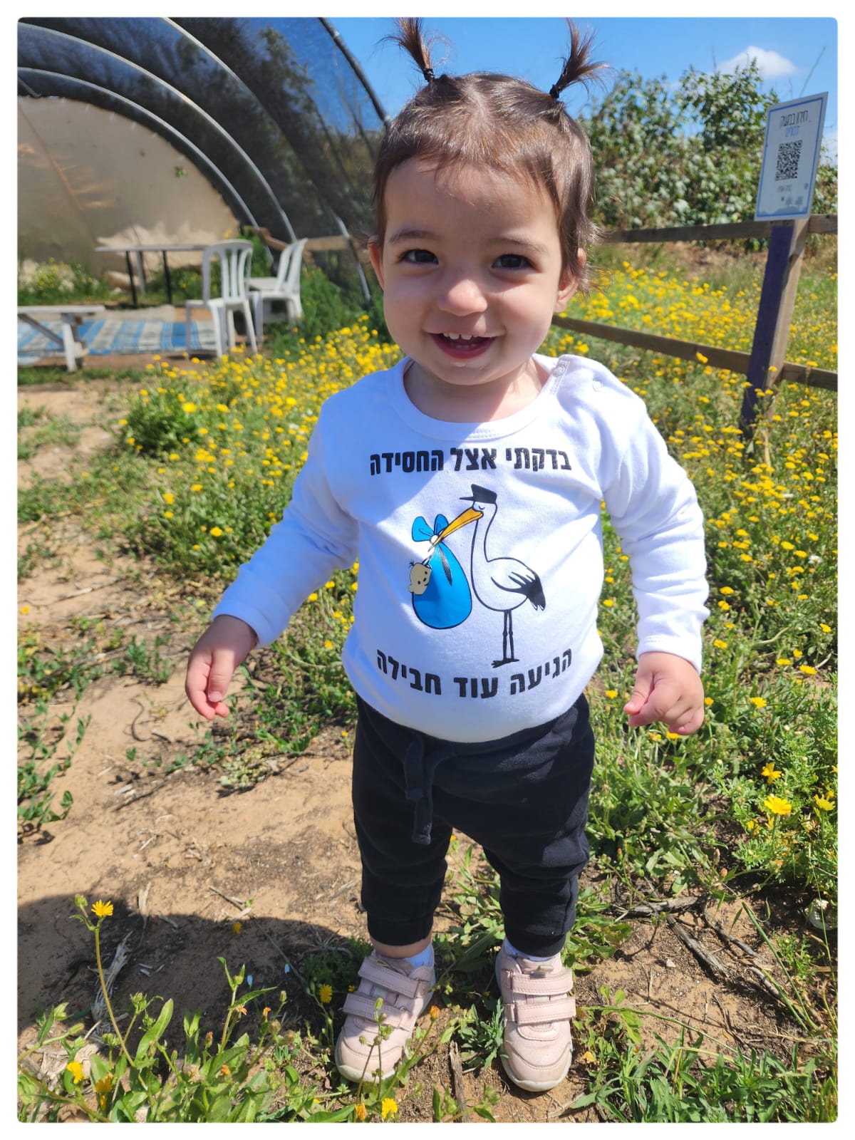 בגד לתינוק הודעה על הריון החסידה הגיעה עם עוד חבילה