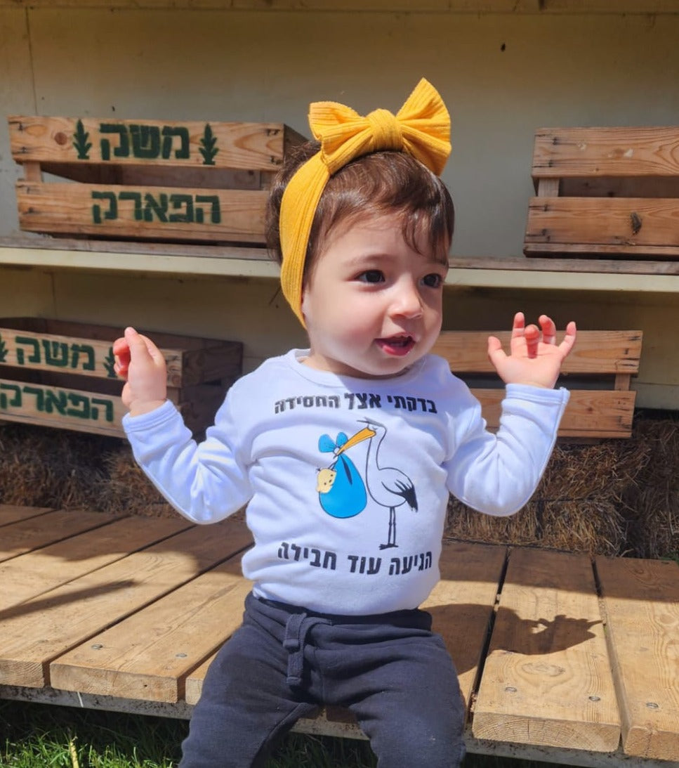 בגד לתינוק הודעה על הריון החסידה הגיעה עם עוד חבילה